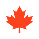 Maple